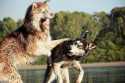 фото из инета фото из инета