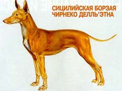 Чирнеко дель'Этна